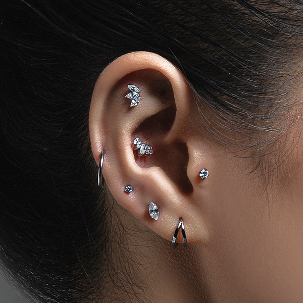 Our Piercing Standards at OSCO London - OSCO