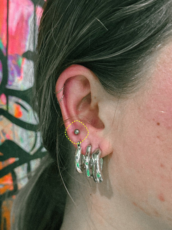 1.2mm titanium threadless ball labret worn in a lobe piercing