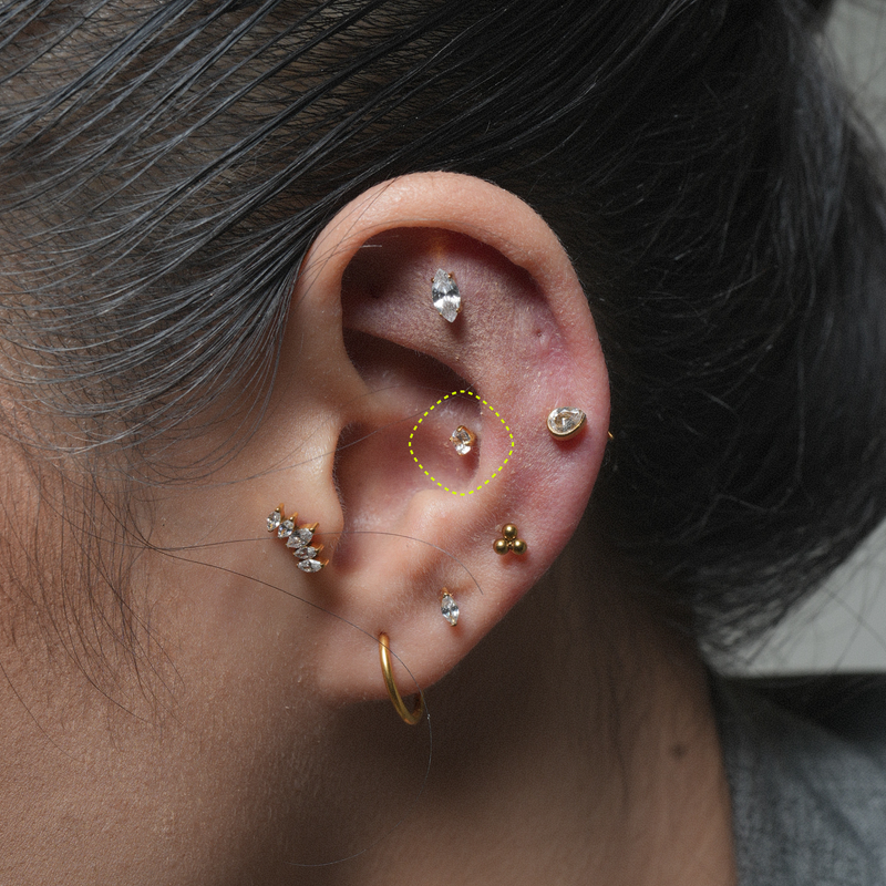 CONCH