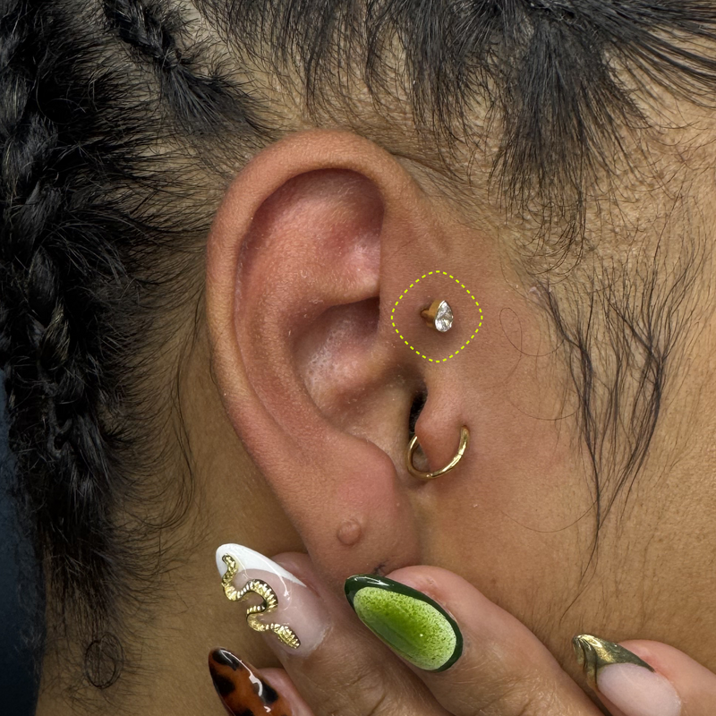 FORWARD HELIX