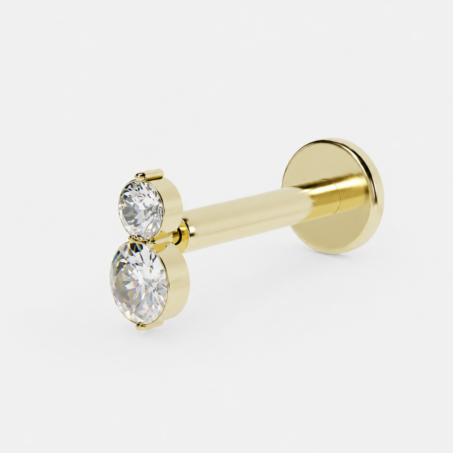 Graduated Duo Clear Crystal titanium flatback earring in gold