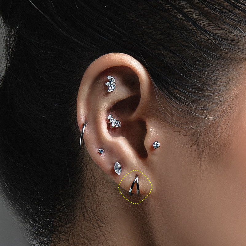 LOBE
