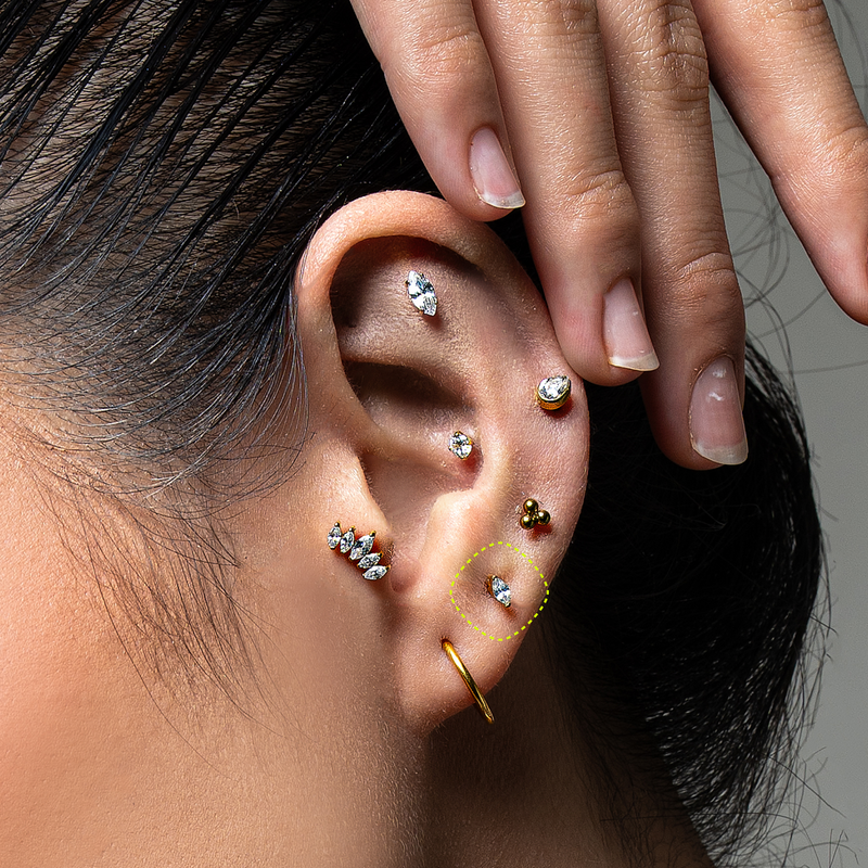 LOBE