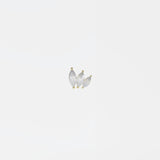 Wing Cluster